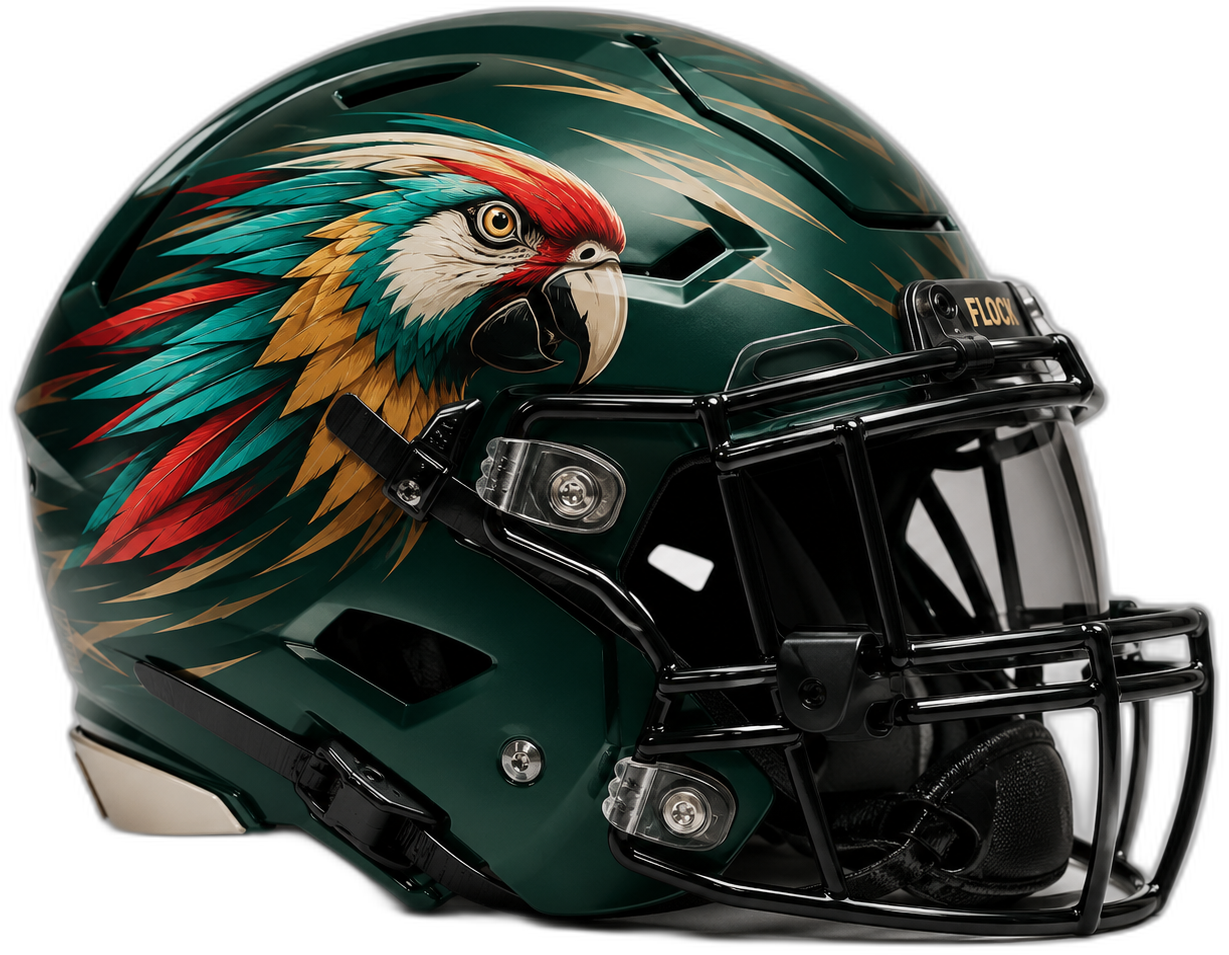 Santa Ana Flock helmet