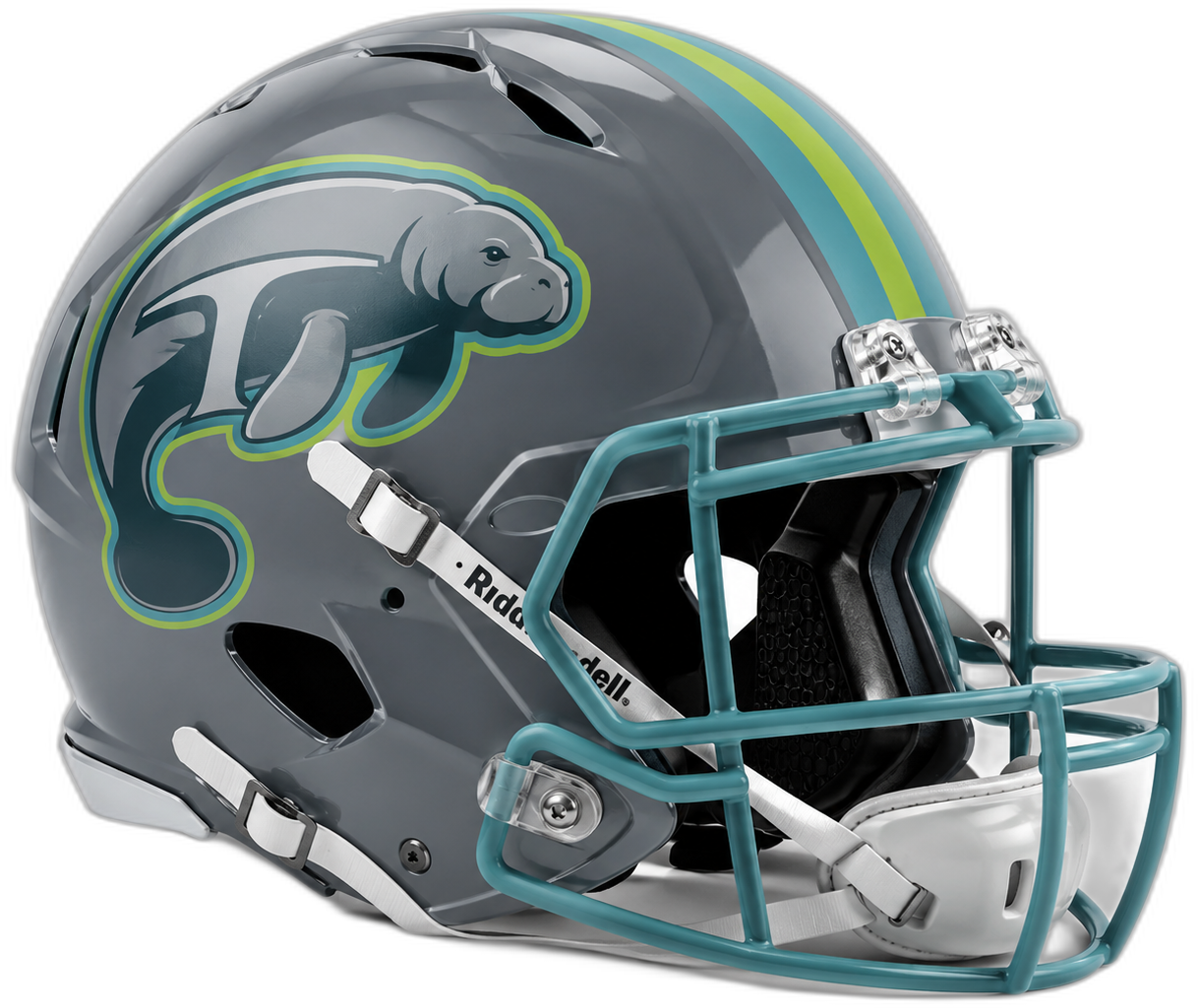 Tampa Bay Tees helmet